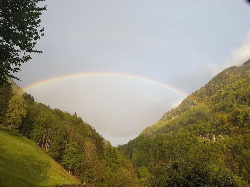 Panorama Jurte Ueber Dem Uri-See A Hotel Sisikon Kültér fotó