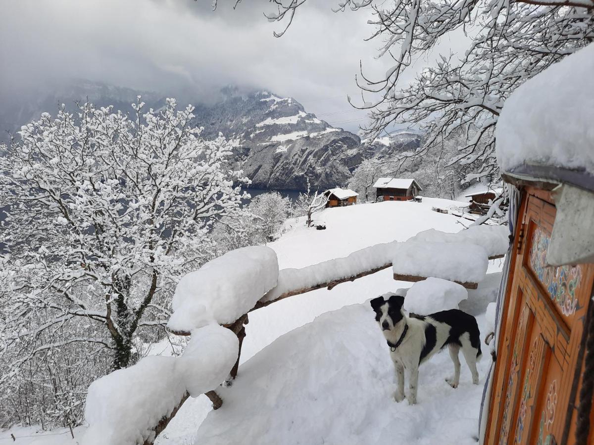 Panorama Jurte Ueber Dem Uri-See A Hotel Sisikon Kültér fotó