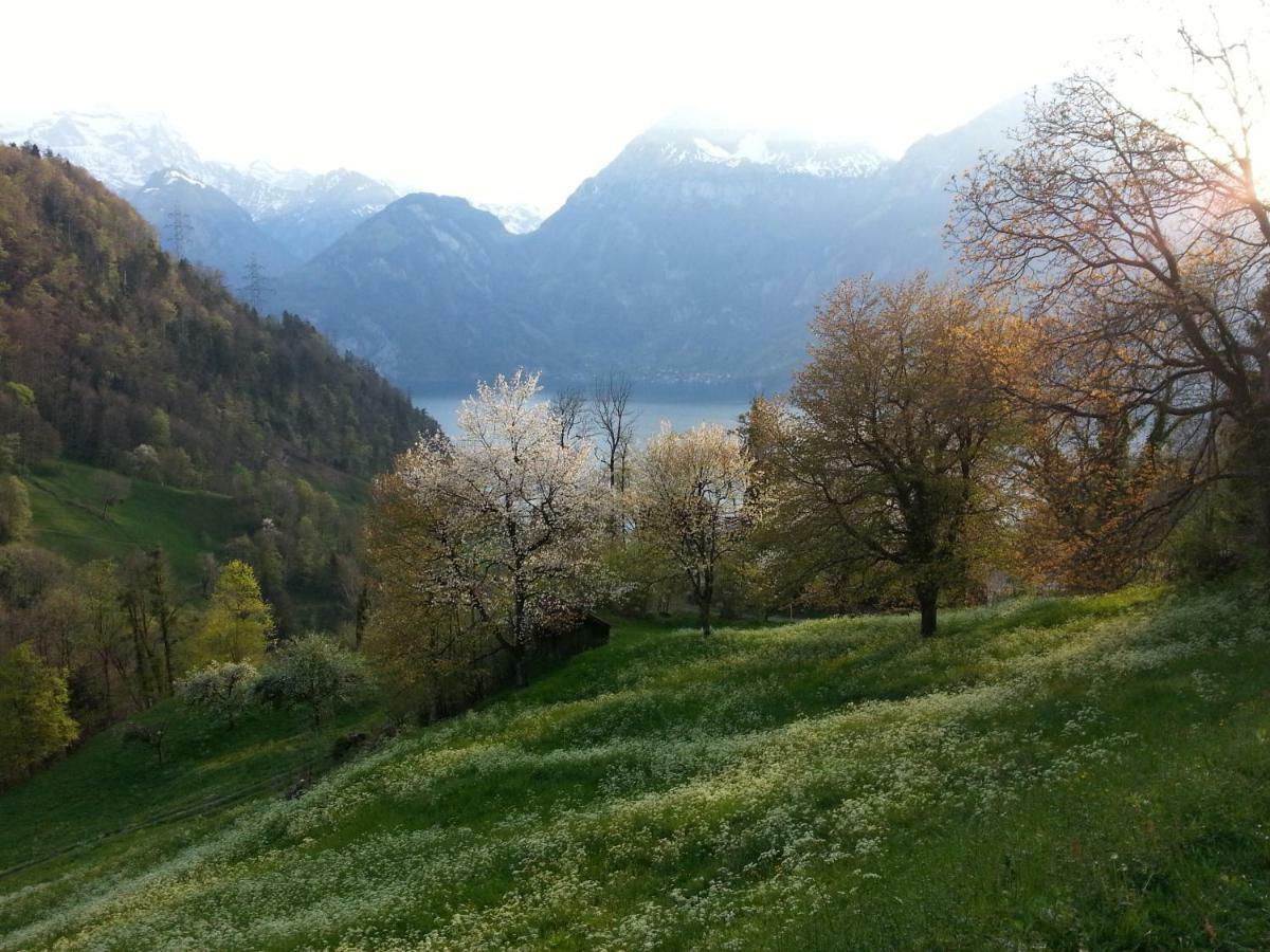 Panorama Jurte Ueber Dem Uri-See A Hotel Sisikon Kültér fotó