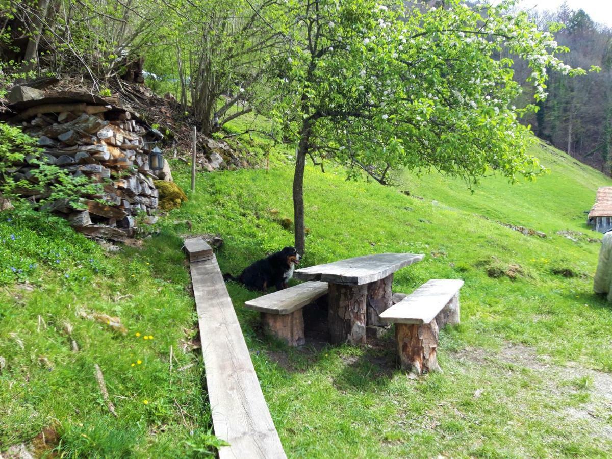 Panorama Jurte Ueber Dem Uri-See A Hotel Sisikon Kültér fotó