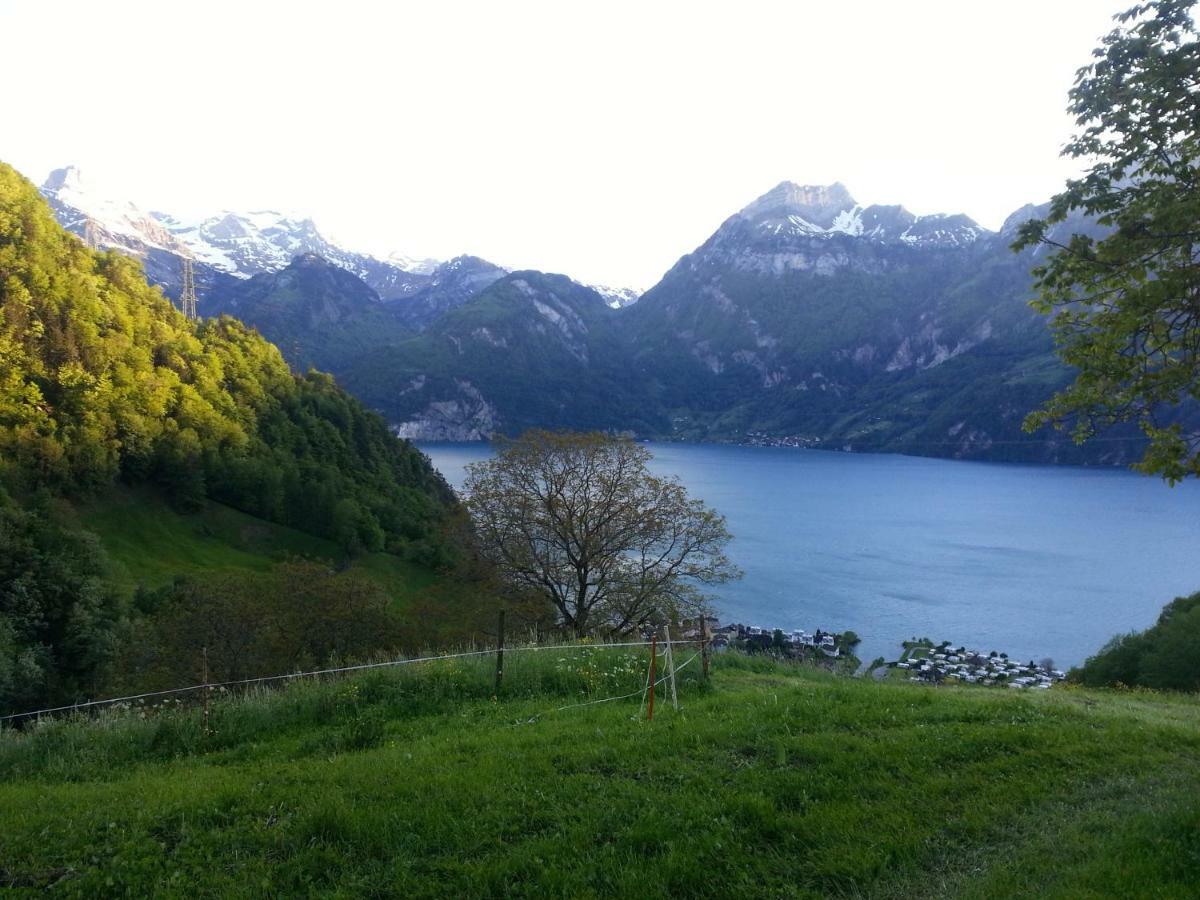 Panorama Jurte Ueber Dem Uri-See A Hotel Sisikon Kültér fotó