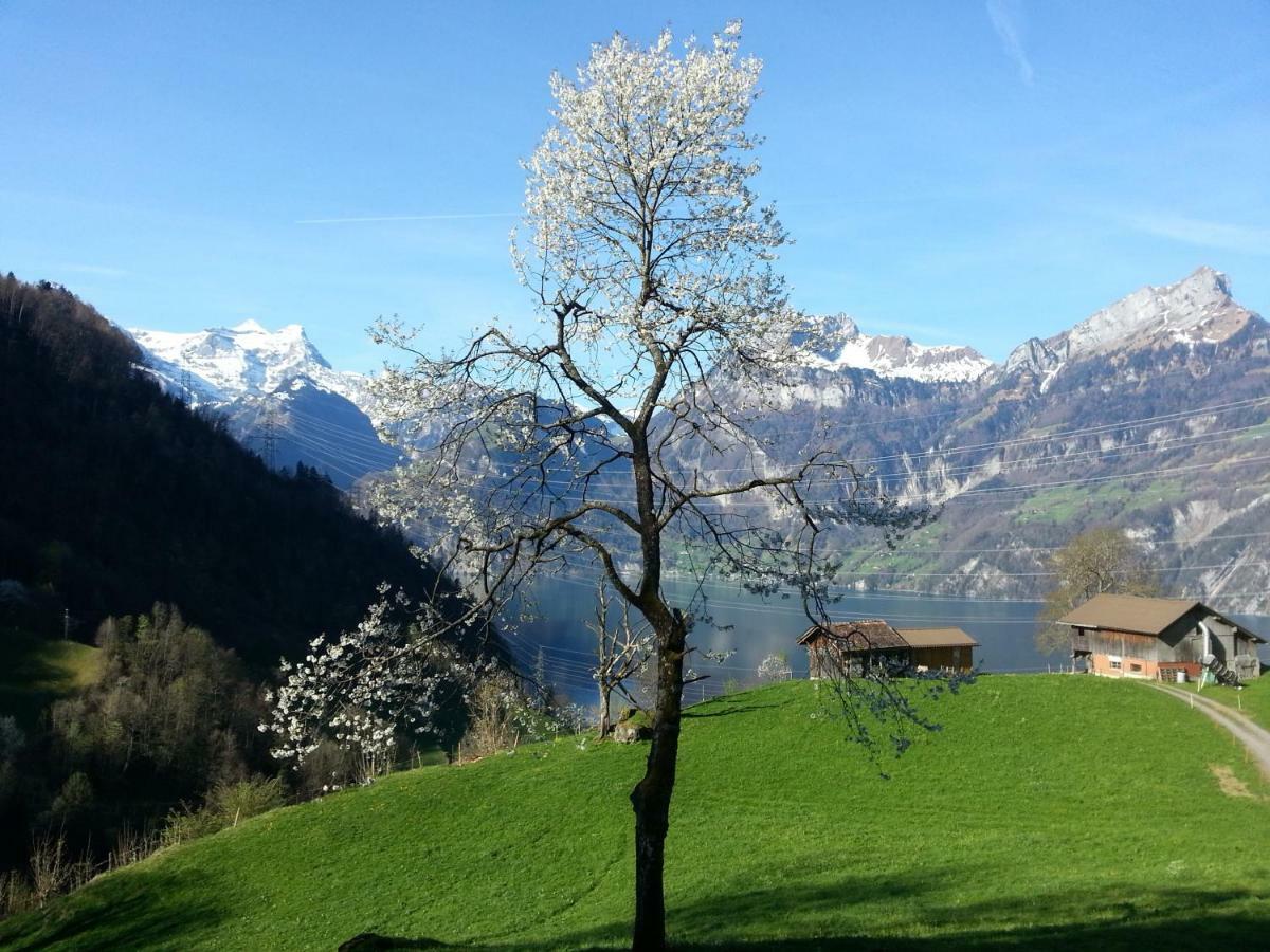 Panorama Jurte Ueber Dem Uri-See A Hotel Sisikon Kültér fotó